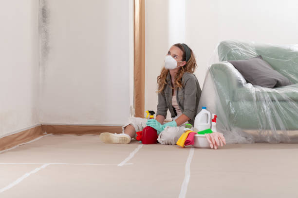 Reliable Mold Remediation contractor in Ridgewood, NJ by Cheap Mold Removal